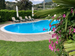 Apartments Panoramica
